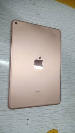 ipad mini 5