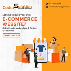 Professional E-Commerce WordPress Website Development Services