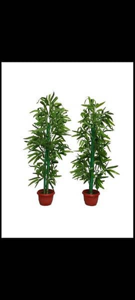 Artificial plants and Flowers in whole sale prices 16