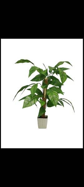 Artificial plants and Flowers in whole sale prices 17