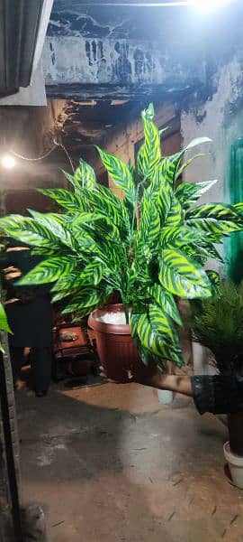 Artificial plants and Flowers in whole sale prices 19