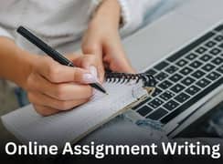 Handwritten assignment and MS office assignment service available