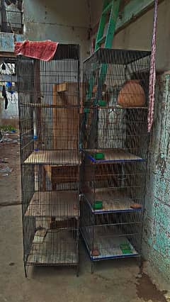 2  cages for urgent sale 4 khane aak cage main breeding cage
