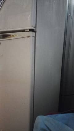 Waves Fridge