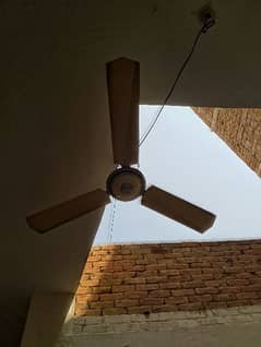 Fan