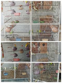 Only cage for sale