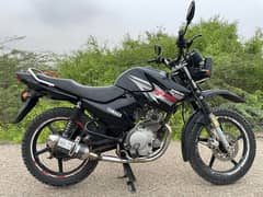 Yamaha Ybr 125G 03132270400