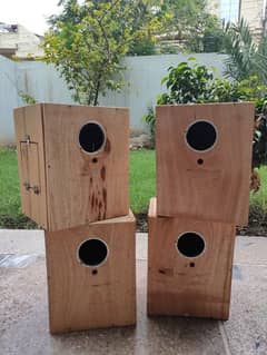 Breeding boxes for budgies and love birds