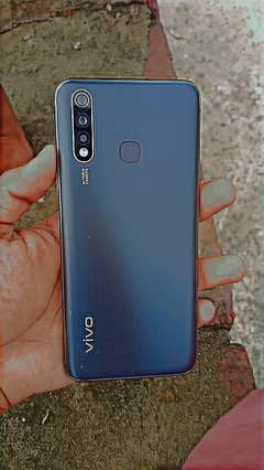 vivo