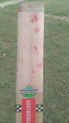 cricket bat