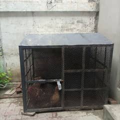 dog cage