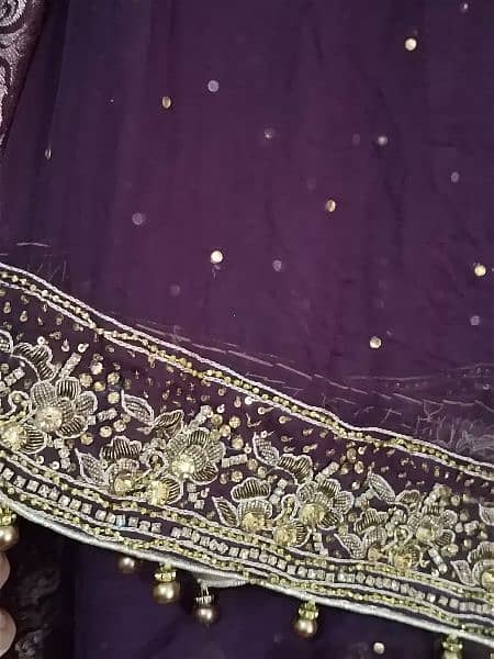 maxi lehnga capri shirt gharara frock sarhi 17