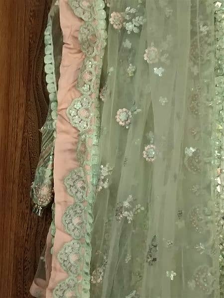 maxi lehnga capri shirt gharara frock sarhi 13