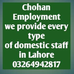 Chohan employment