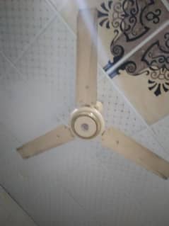 Celling Fan for Sale