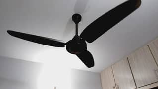 fan