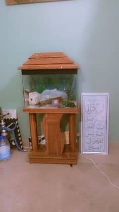 fish aquarium