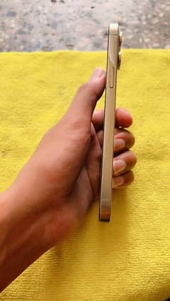 iphone 12 Pro Max GOLD