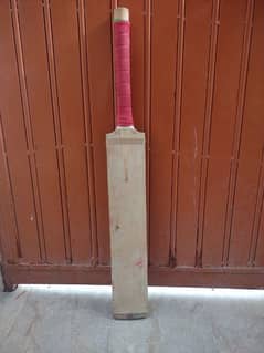 English willow cricket bat