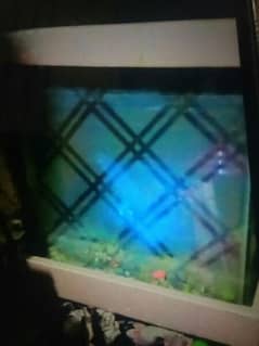 Fish Aquariem for sale 1000