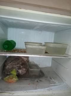 Dawlanc Refrigerator fridge