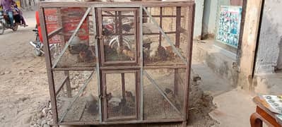 Cage for sale