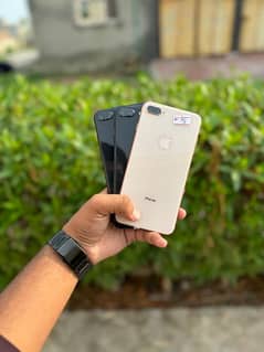 iPhone 8plus 64gb pta Approved