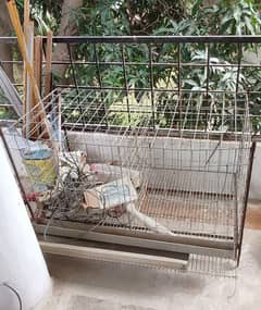 Hen Cage (Murghio ka pinjra) (30x45x23 inch)