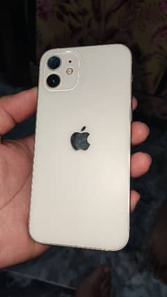 iPhone 12 64GB | Mint condition