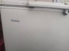 Haier