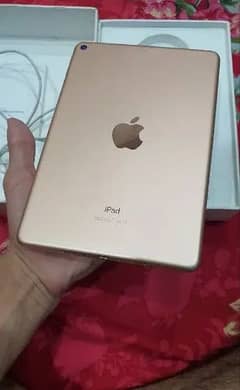 iPad Mini 5