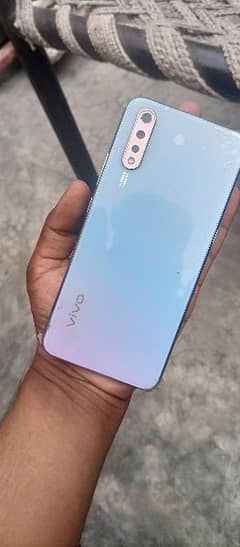 VIVO