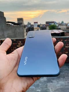 vivo