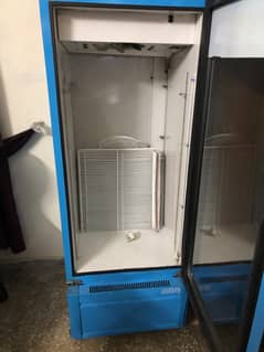 Urgent Nestle Chiller For Sale