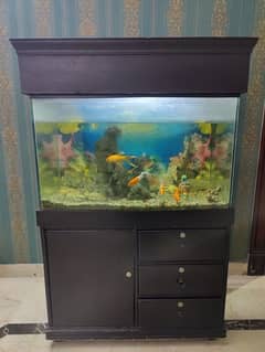 aquarium Wood Made with 4 cabnets