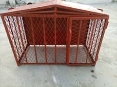 Hen and bird cage