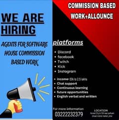 SOFTWARE HOUSE JOBS AGENT NEEDS HANDSOME SALERY PACKAGE