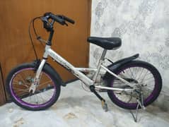 Japanese SeaMist Heavy-duty Kids Bicycle