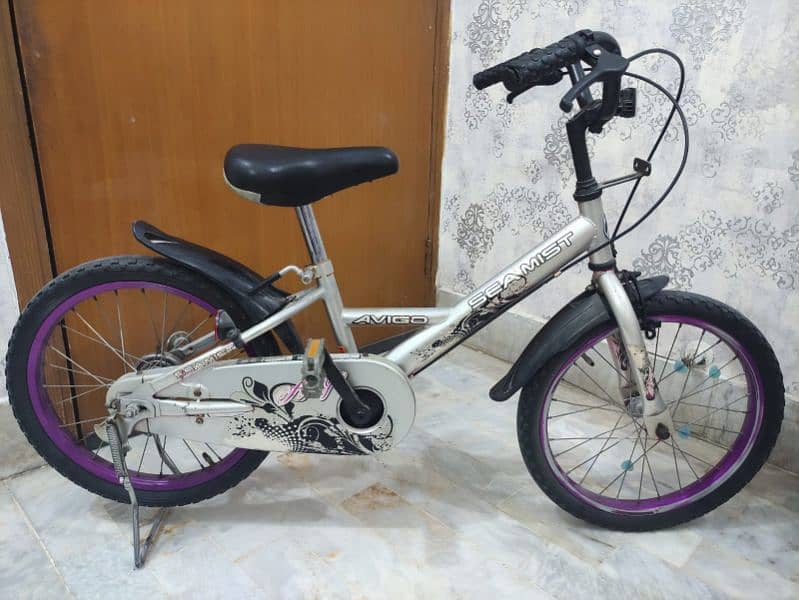 Japanese SeaMist Heavy-duty Kids Bicycle 1