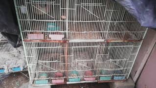 2 cage for sale