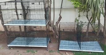 Birds Colony Cage 4*2*2 / Each portion cage (2*2*2)