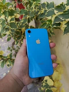 Iphone xr All ok. factoryunlock128gb. 03046569100