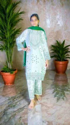 2 pcs womens stitched linen printed shirt and trouser
