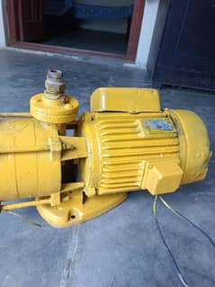 whater pump 2 hp copper wanding