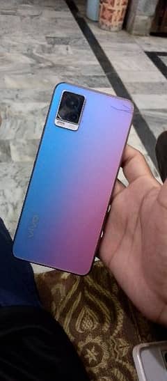 vivo