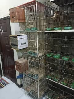 birds cage for sale