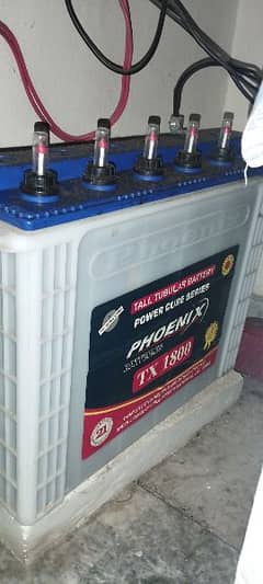 Tall tubular battery for sale cond 10/10