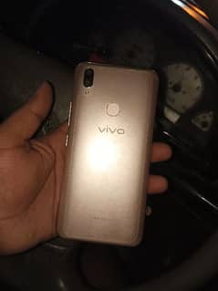 vivo