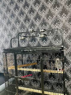 Cage for maccaw & other parrots