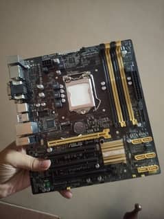 H61,H81,B75,Q67,Z77,B85,H110,H610,Q87 Intel Msi Asus Gigabyte mobo